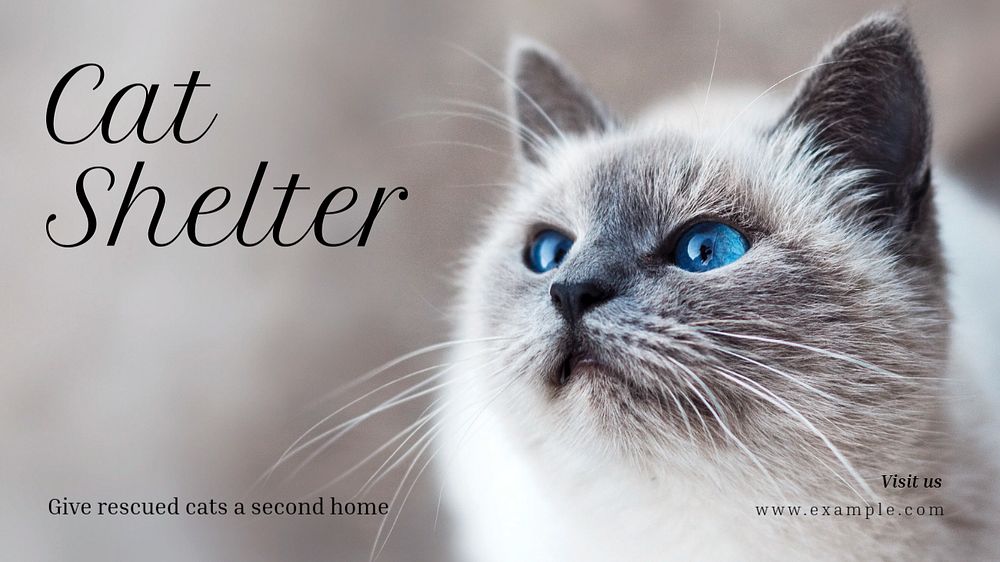 Cat shelter blog banner template, editable text