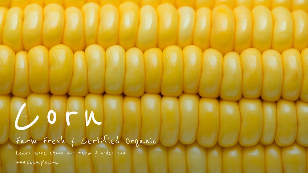 Corn farm blog banner template, editable text