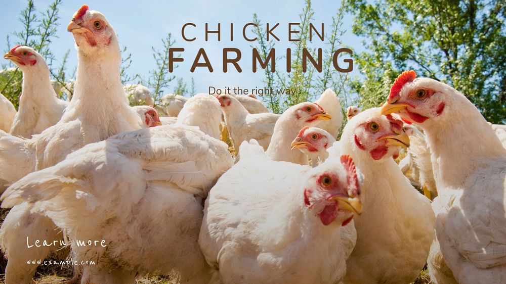 Chicken farming blog banner template, editable text