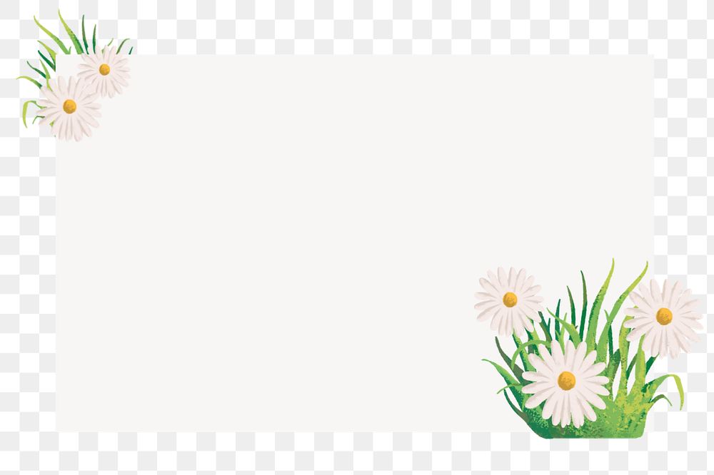 Editable daisy frame   png element, painting illustration