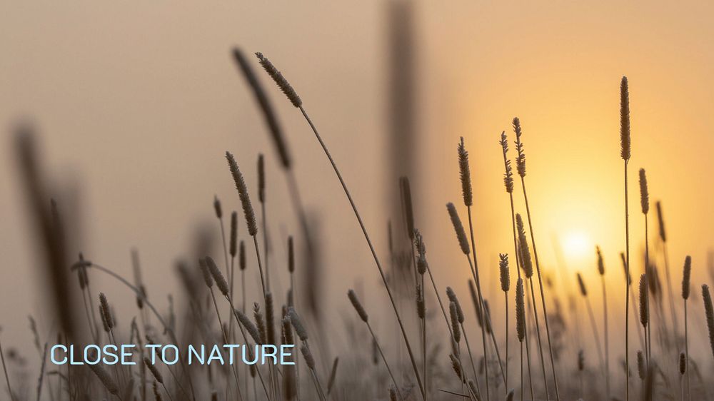 Close to nature blog banner template, editable text