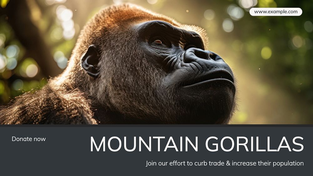 Gorilla extinction blog banner template, editable text