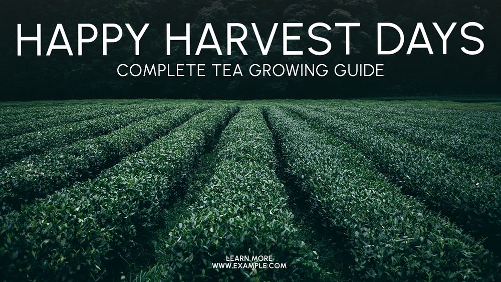 Harvest blog banner template