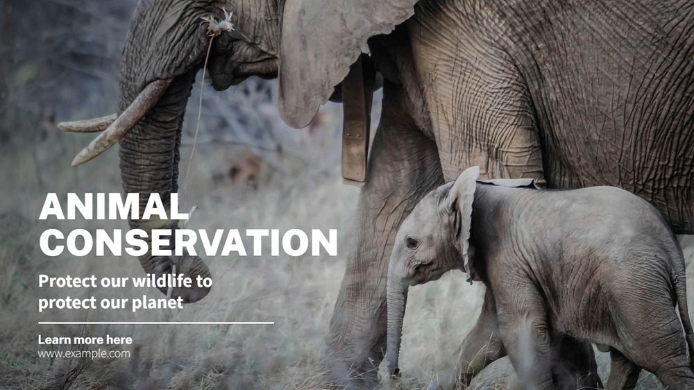 Animal conservation blog banner template