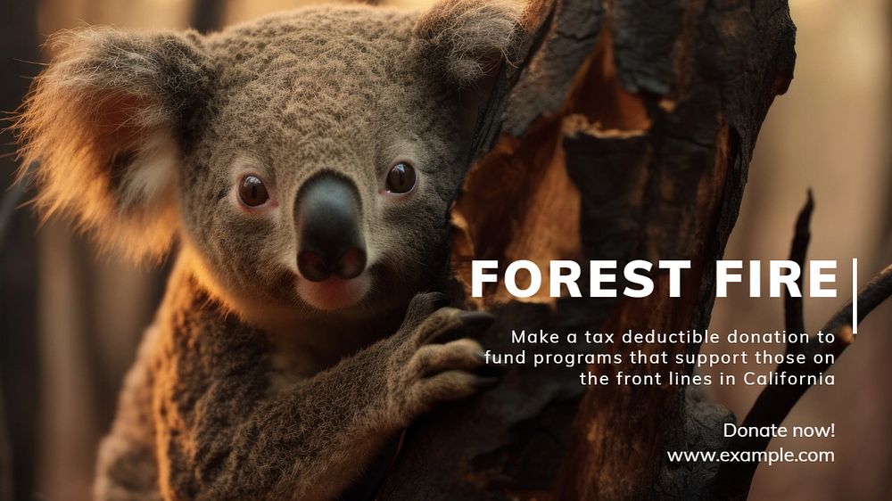 Forest fire blog banner template