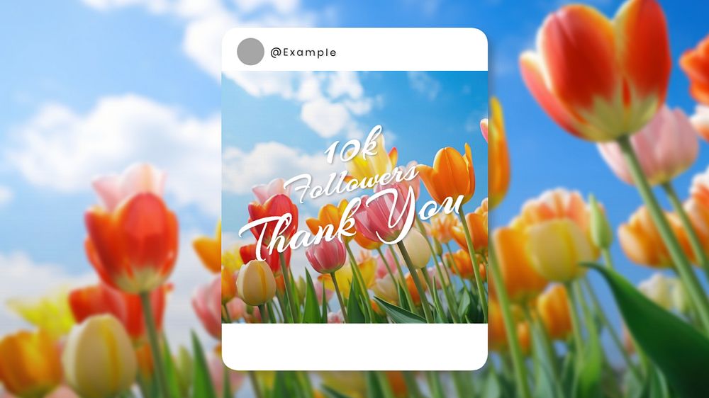 Thank you followers blog banner template