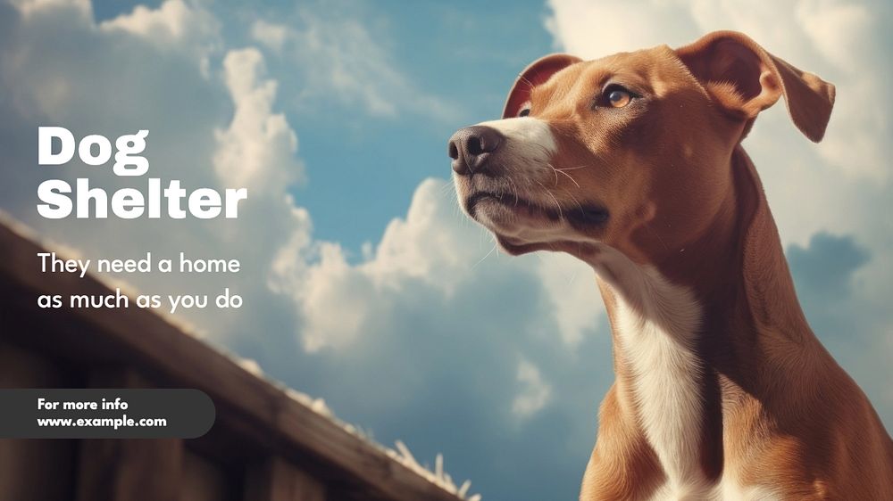 Dog shelter blog banner template