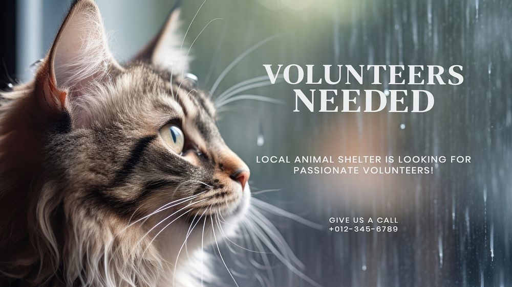 Volunteers needed blog banner template