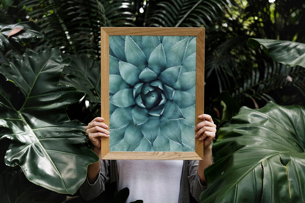 Wooden photo frame mockup, nature design 