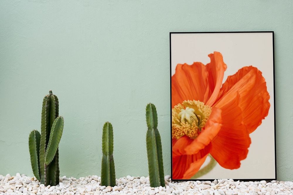 Flower frame editable mockup, cactus design 