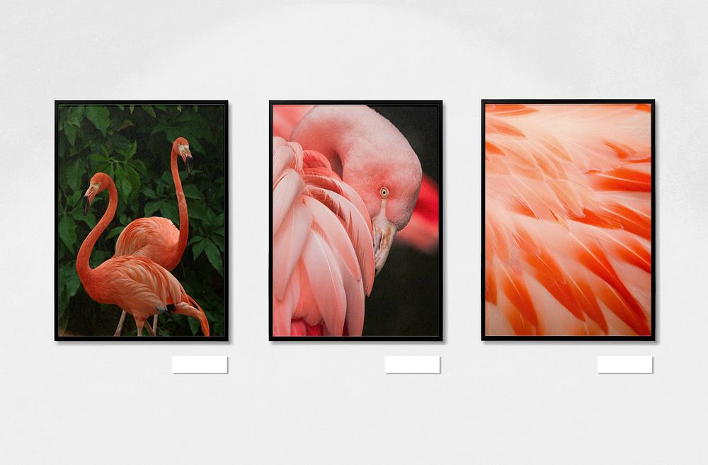 Exhibition photo frame editable mockup, home decor design