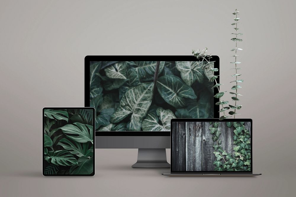 Digital device screen mockup, nature wallpapers