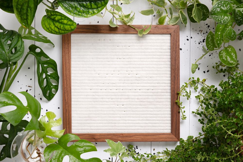 Wooden picture frame mockup, leafy design