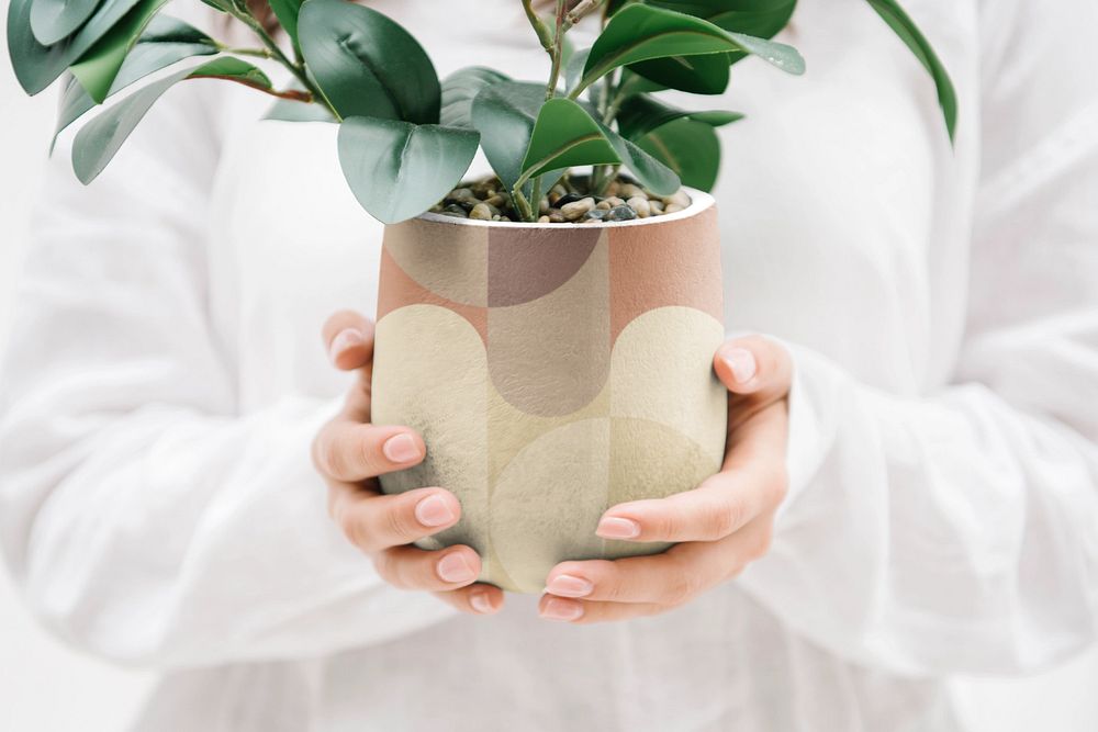 Houseplant pot mockup, editable design