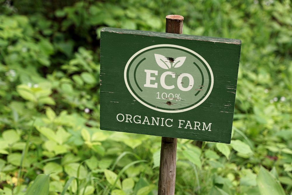 Gardening wooden sign mockup, editable design