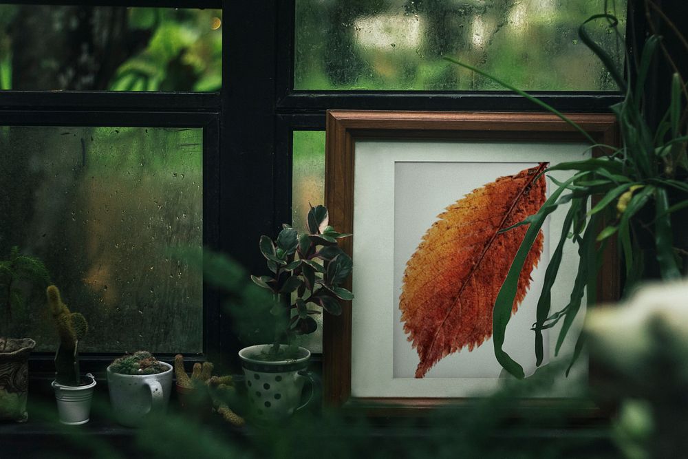 Photo frame  editable mockup, greenhouse decor