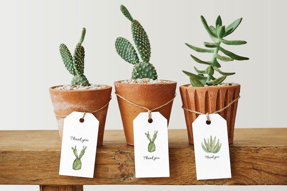 Cactus label mockup, editable design