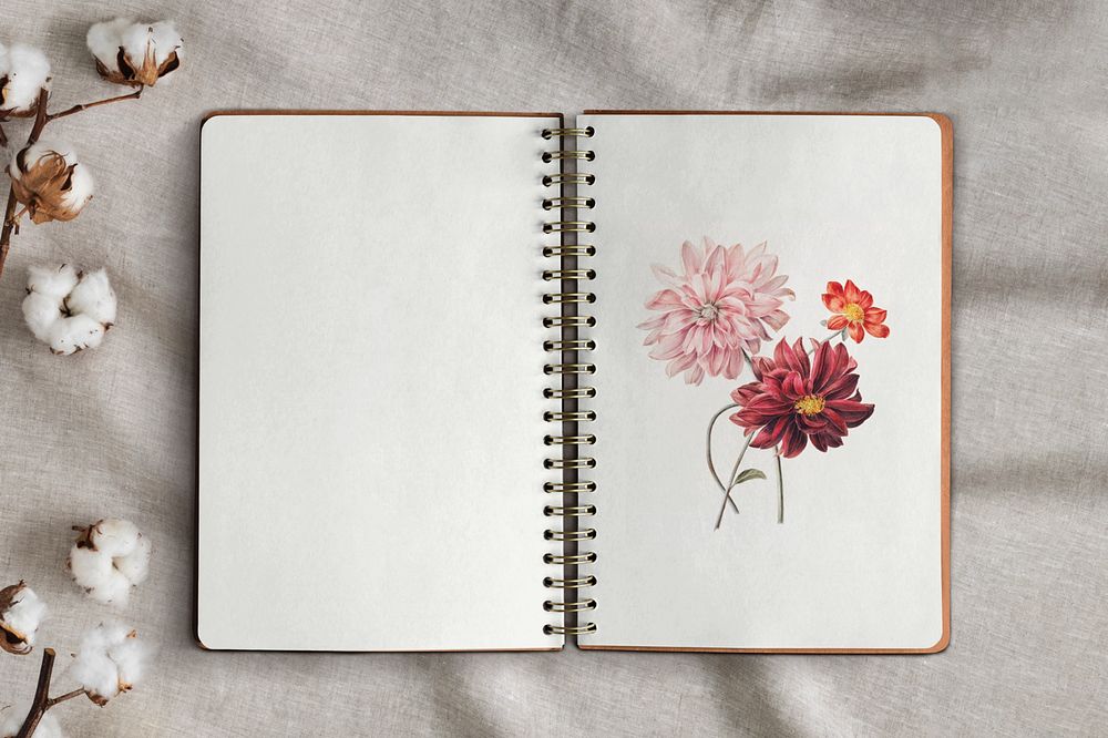 Open sketchbook page mockup, editable design