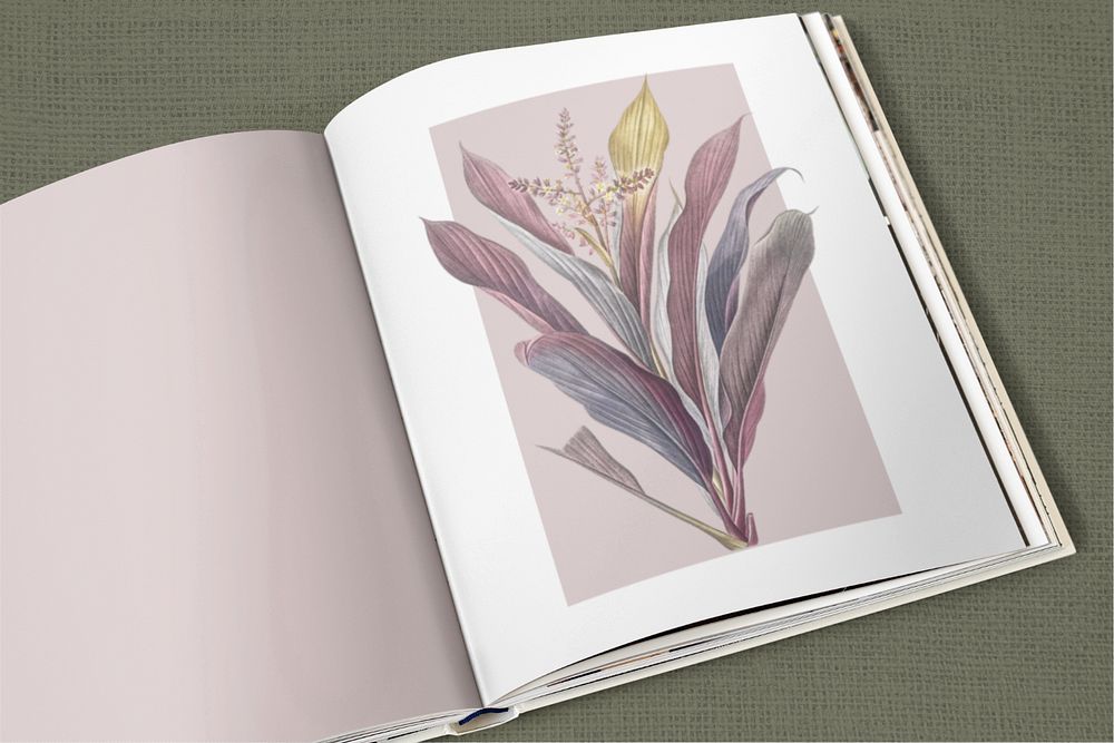 Aesthetic book mockup, editable botanical illustration design