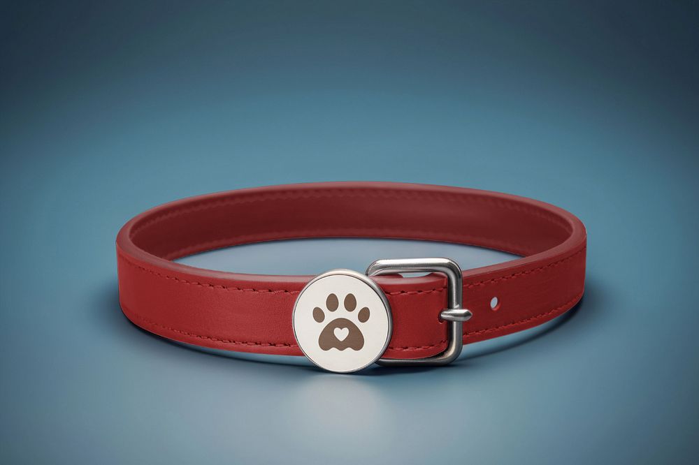 Editable pet collar mockup tag design