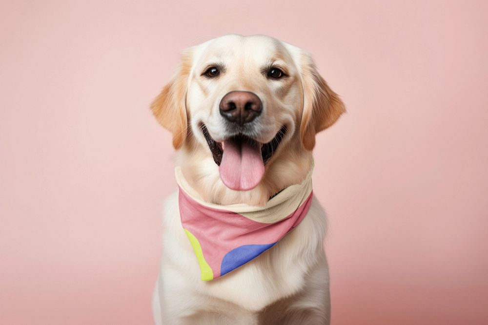 Editable dog's bandana mockup pet design