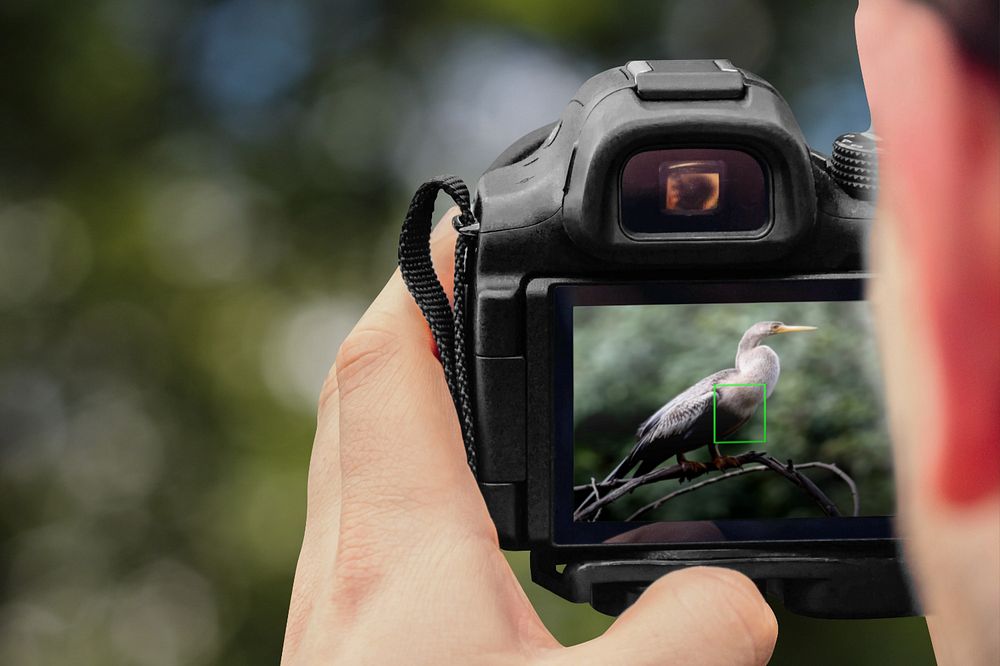 Camera digital monitor screen mockup, editable device design