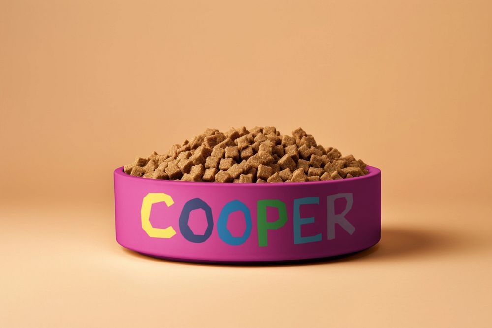 Pet food bowl  editable mockup 