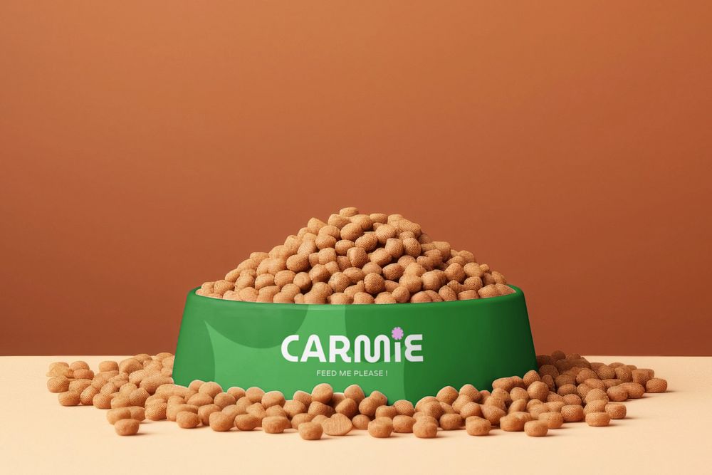 Pet food bowl  editable mockup 