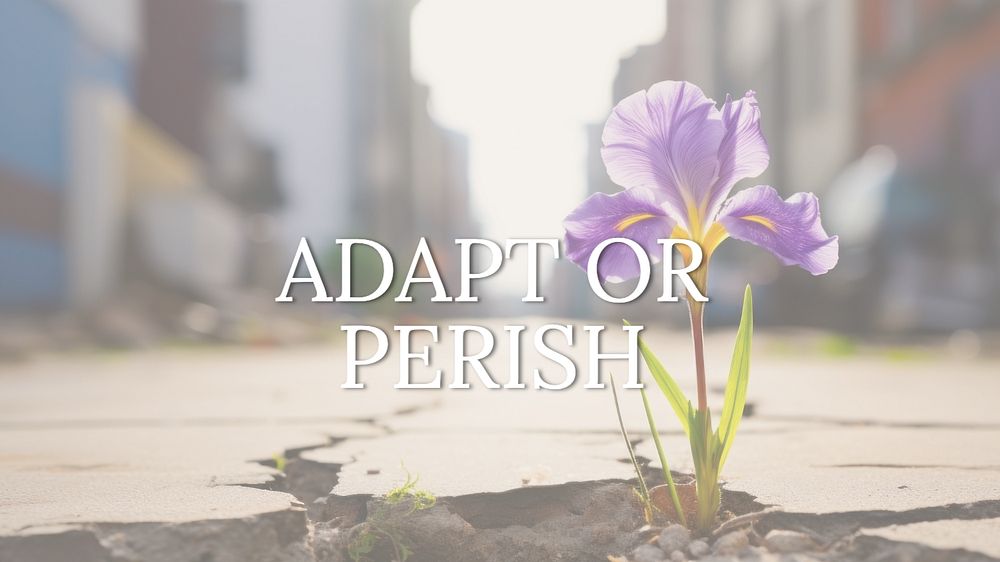 Adapt or perish quote blog | Premium Editable Template - rawpixel