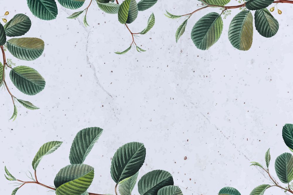 Vintage leaf frame aesthetic background, editable design