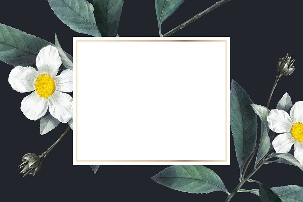 White flower frame aesthetic background, editable design