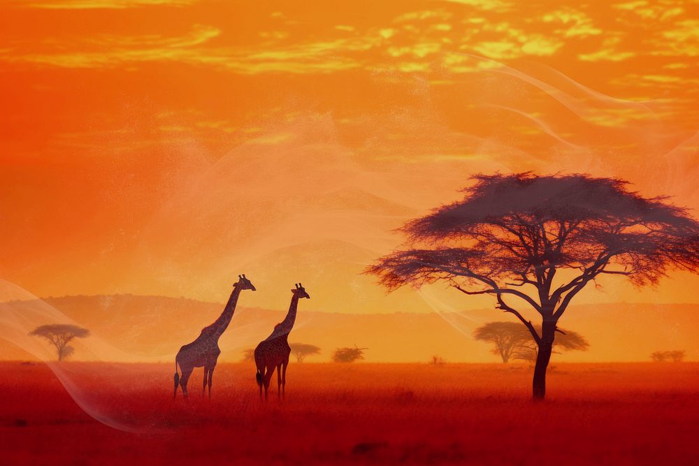 Savanna giraffes  animal wildlife nature remix, editable design