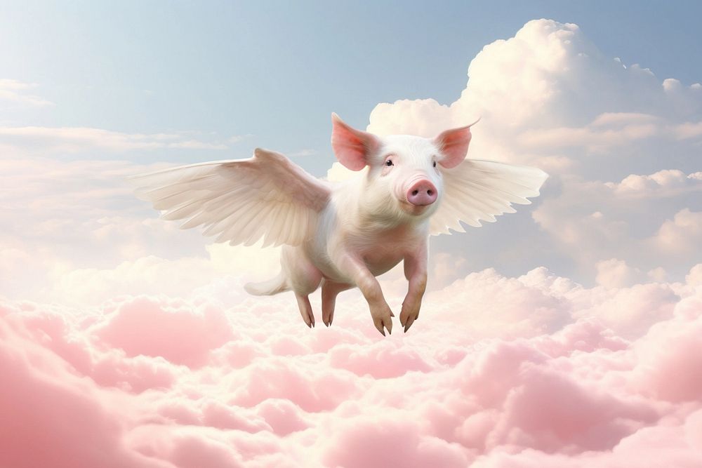 Pink flying pig fantasy remix, editable design