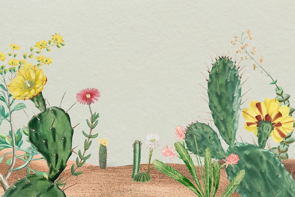 Wild cactus background, vintage illustration. Remixed by rawpixel.