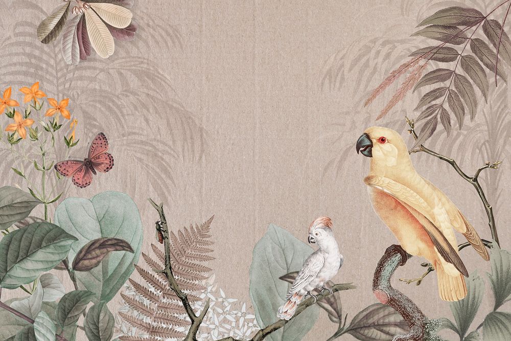 Exotic birds background, vintage animal illustration. Remixed by rawpixel.