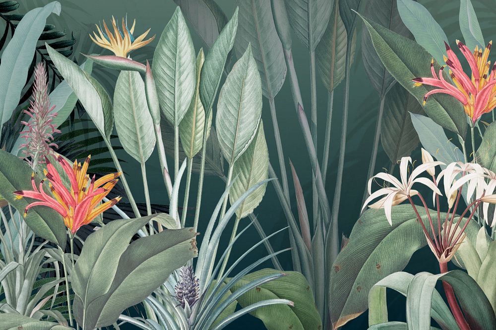 Vintage jungle background. Remixed by rawpixel.