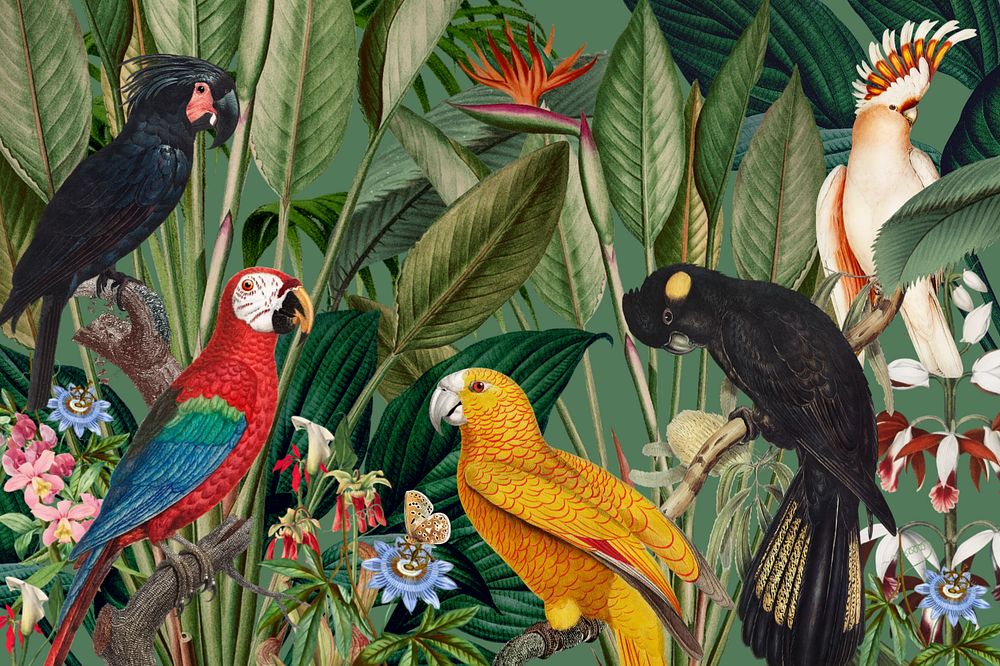 Exotic birds jungle background. Remixed by rawpixel.