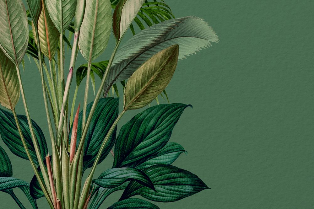 Vintage jungle background. Remixed by rawpixel.