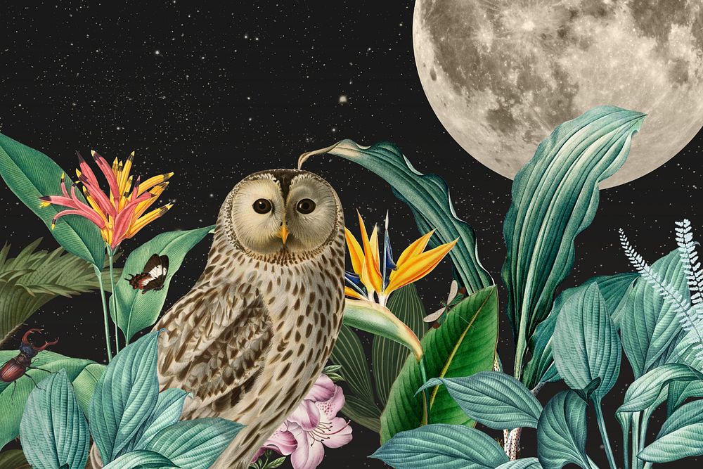 Night owl background, vintage animal illustration. Remixed by rawpixel.