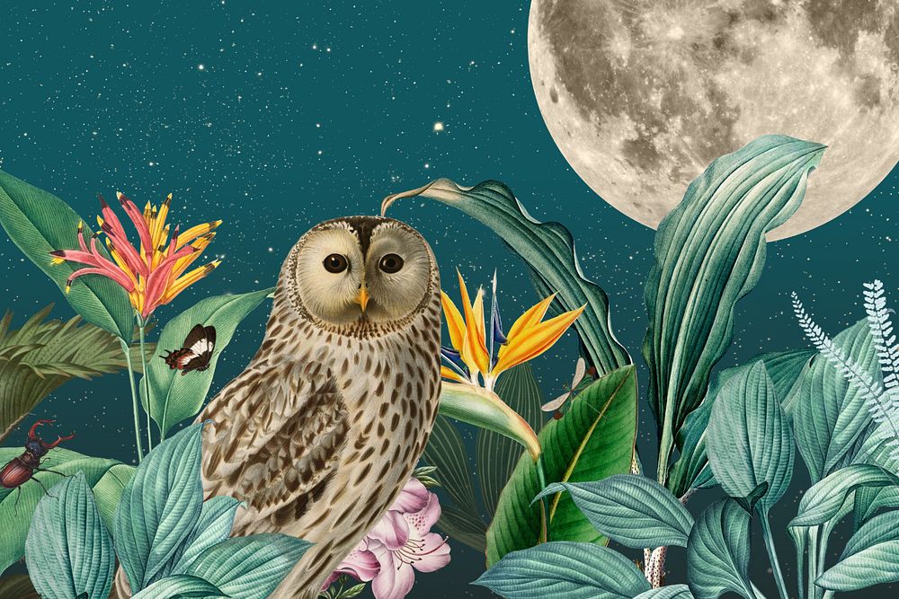 Night owl background, vintage animal illustration. Remixed by rawpixel.