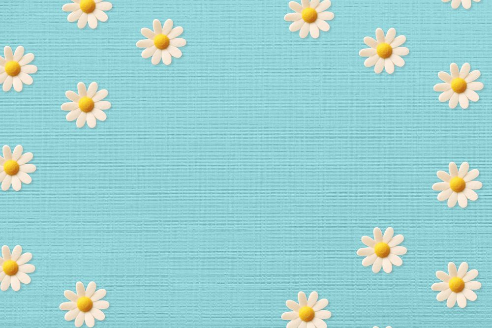 Cute daisy flower background