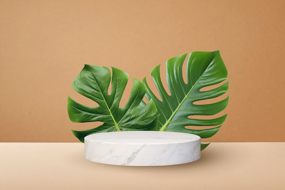 Monstera leaf aesthetic product backdrop