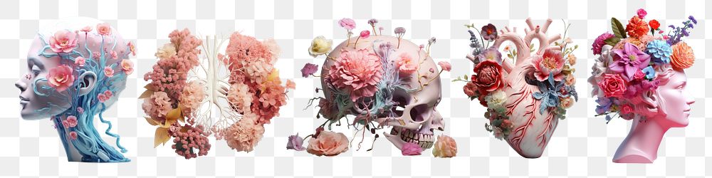 3D anatomy with flowers png element set on transparent background