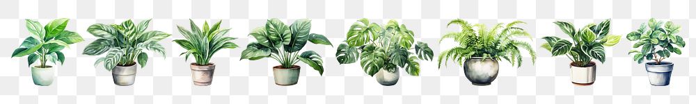 PNG Houseplant watercolor set, transparent background