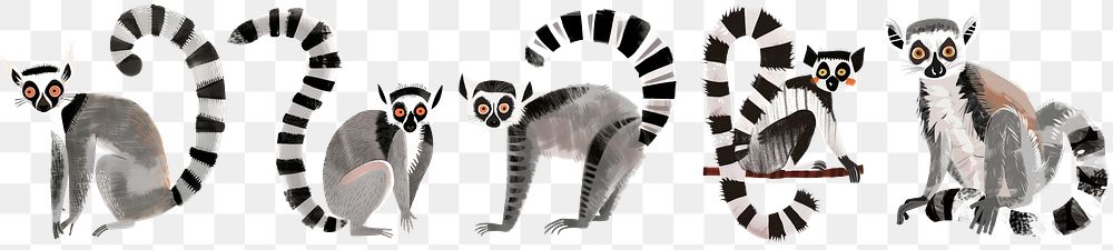 PNG Cute lemur animal illustration set, transparent background