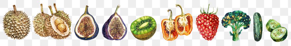 Ink painting tropical fruit png cut out element set, transparent background