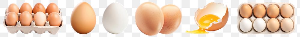 Fresh egg png cut out element set, transparent background