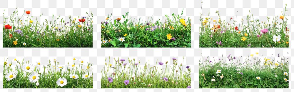 Wildflower border png cut out element set, transparent background