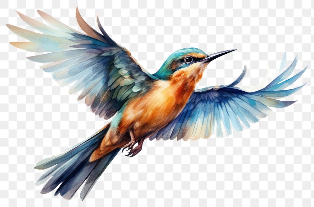 PNG Illustration of bird flying animal beak jay.