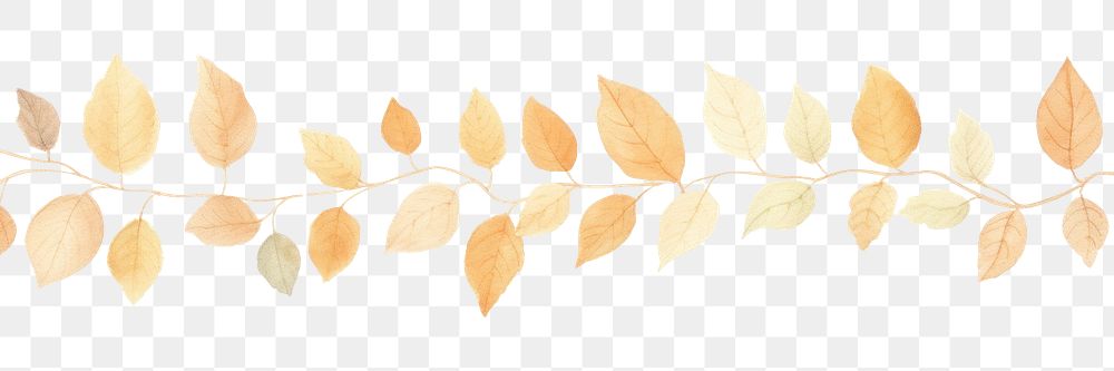 PNG Autumn leaves as divider line watercolour illustration graphics pattern plant.